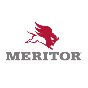 Repuestos_MERITOR